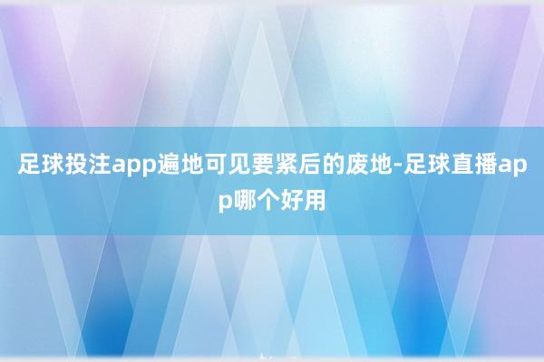 足球投注app遍地可见要紧后的废地-足球直播app哪个好用