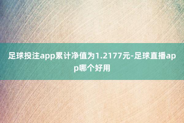 足球投注app累计净值为1.2177元-足球直播app哪个好用