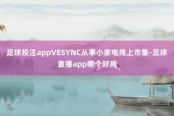 足球投注appVESYNC从事小家电线上市集-足球直播app哪个好用