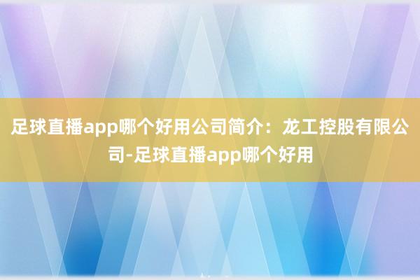 足球直播app哪个好用公司简介：龙工控股有限公司-足球直播app哪个好用