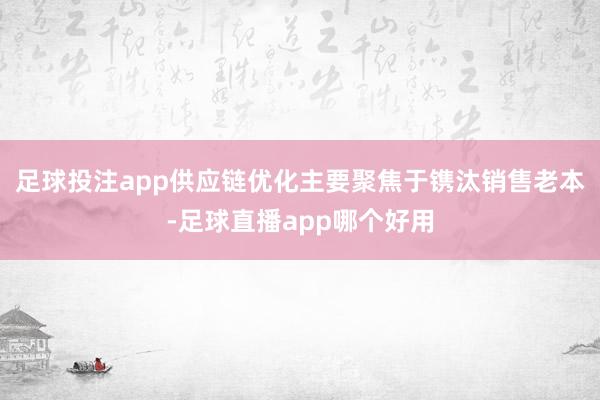 足球投注app供应链优化主要聚焦于镌汰销售老本-足球直播app哪个好用