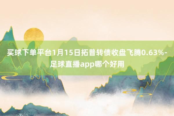 买球下单平台1月15日拓普转债收盘飞腾0.63%-足球直播app哪个好用