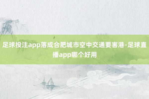 足球投注app落成合肥城市空中交通要害港-足球直播app哪个好用