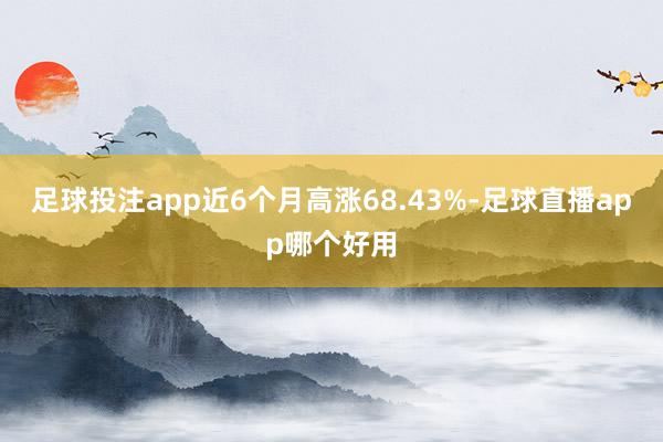 足球投注app近6个月高涨68.43%-足球直播app哪个好用