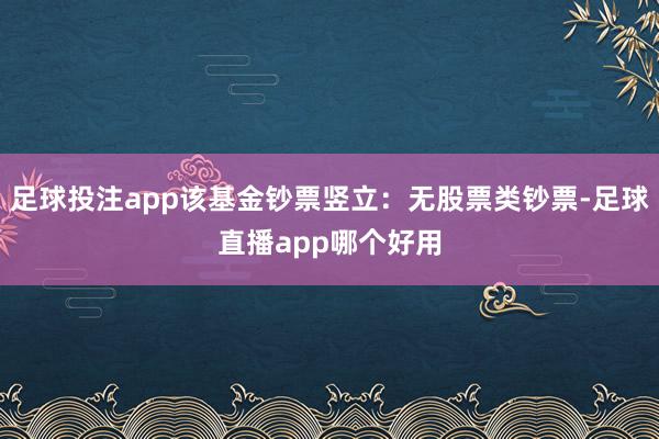 足球投注app该基金钞票竖立：无股票类钞票-足球直播app哪个好用