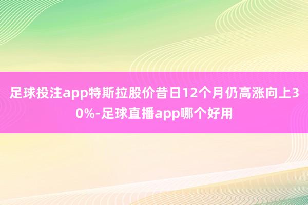 足球投注app特斯拉股价昔日12个月仍高涨向上30%-足球直播app哪个好用