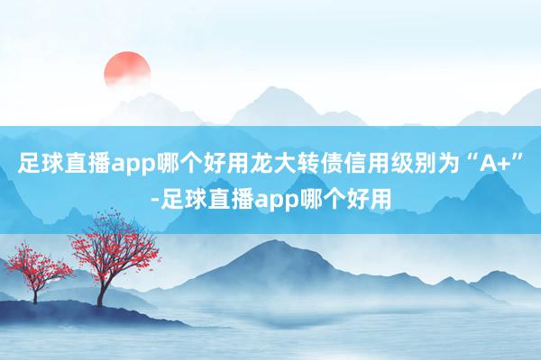 足球直播app哪个好用龙大转债信用级别为“A+”-足球直播app哪个好用