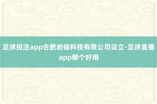 足球投注app合肥岩磁科技有限公司设立-足球直播app哪个好用