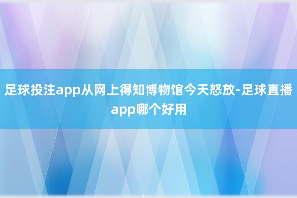 足球投注app从网上得知博物馆今天怒放-足球直播app哪个好用