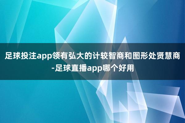 足球投注app领有弘大的计较智商和图形处贤慧商-足球直播app哪个好用