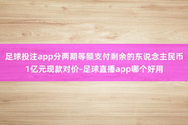 足球投注app分两期等额支付剩余的东说念主民币1亿元现款对价-足球直播app哪个好用