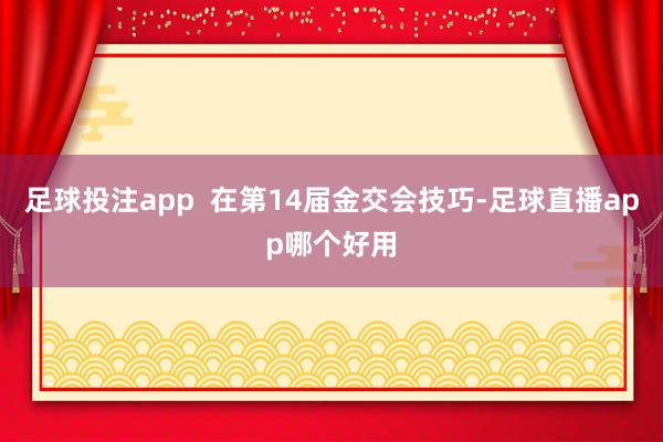 足球投注app  在第14届金交会技巧-足球直播app哪个好用