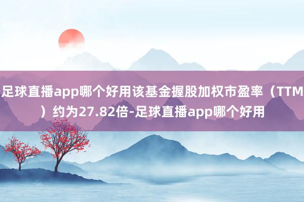 足球直播app哪个好用该基金握股加权市盈率（TTM）约为27.82倍-足球直播app哪个好用