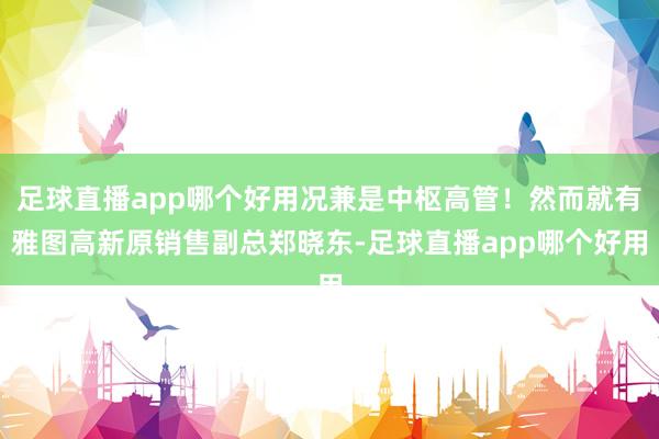 足球直播app哪个好用况兼是中枢高管！然而就有雅图高新原销售副总郑晓东-足球直播app哪个好用