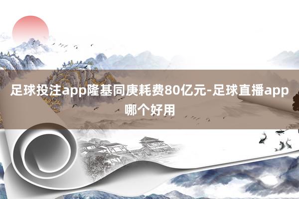 足球投注app隆基同庚耗费80亿元-足球直播app哪个好用