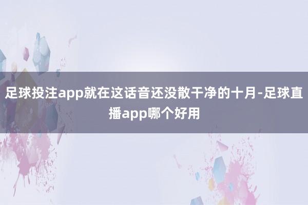 足球投注app就在这话音还没散干净的十月-足球直播app哪个好用