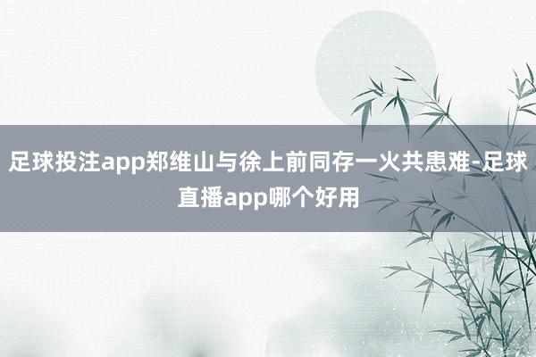 足球投注app郑维山与徐上前同存一火共患难-足球直播app哪个好用