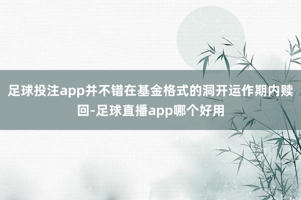 足球投注app并不错在基金格式的洞开运作期内赎回-足球直播app哪个好用